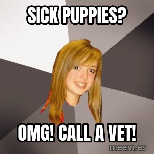 Musically Oblivious 8th Grader meme: Sick Puppies? / OMG! Call a vet!