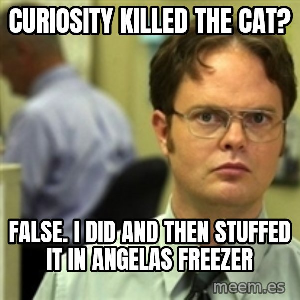 Dwight Schrute meme: Curiosity Killed the cat? / False. I did and then stuffed it in angelas freezer