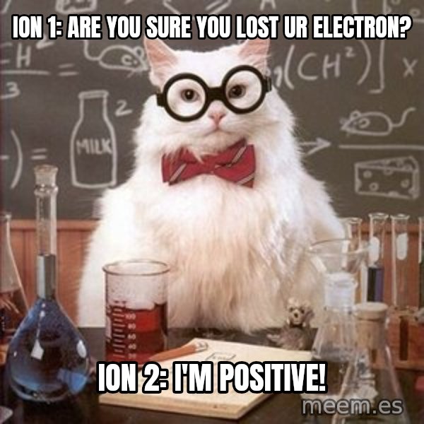 Chemistry Cat meme: Ion 1: are you sure you lost ur electron? / Ion 2: i'm positive!