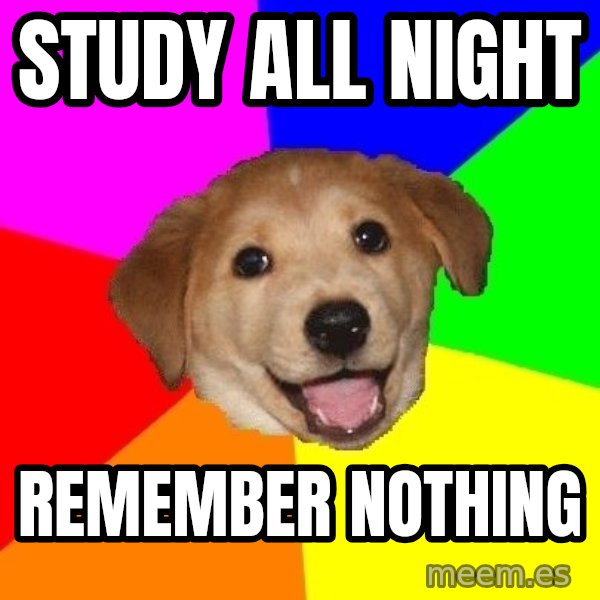 Advice Dog meme: study all night / remember nothing