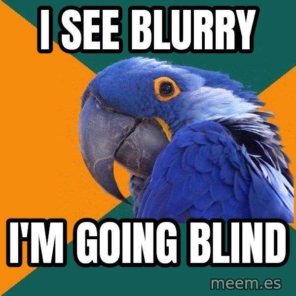 Paranoid Parrot meme: i see blurry / i'm going blind
