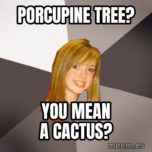 Musically Oblivious 8th Grader meme: porcupine tree? / you mean a cactus?