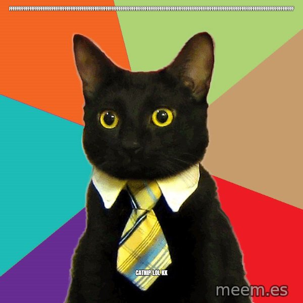 Business Cat meme: fffffffffffffffffffffffffffffffffffffffffffffffffffffffffffffffffffffffffffffffffffffffffffffffffffffffffffffffffffffffffffffffffffffffffffffffffffffffff / catnip lol kk