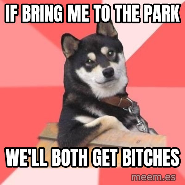 Cool Dog meme: IF BRING ME TO THE PARK / WE'LL BOTH GET BITCHES