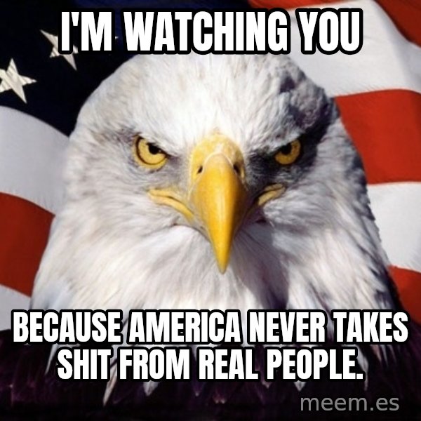 American Pride Eagle meme: I'm watching you / because america never takes shit from real people.