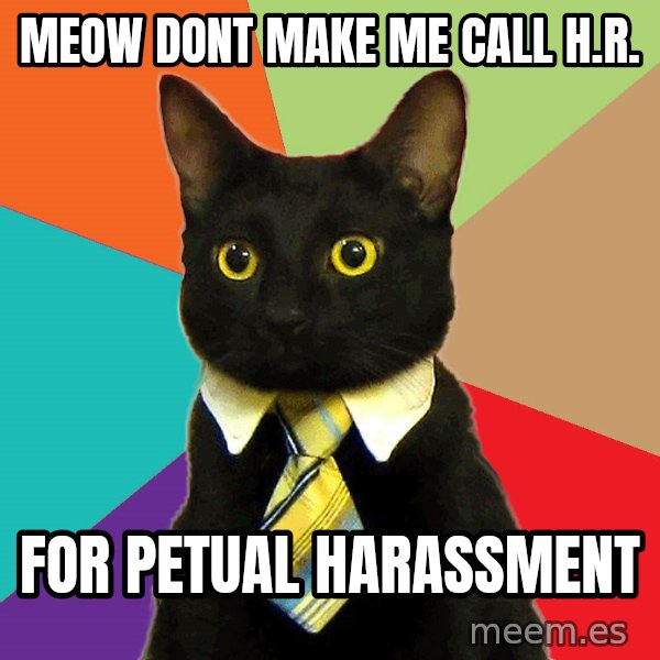 Business Cat meme: meow dont make me call h.r. / for petual harassment