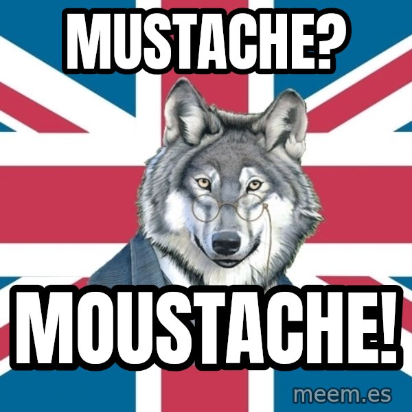 Sir Courage Wolf Esquire meme: Mustache? / Moustache!