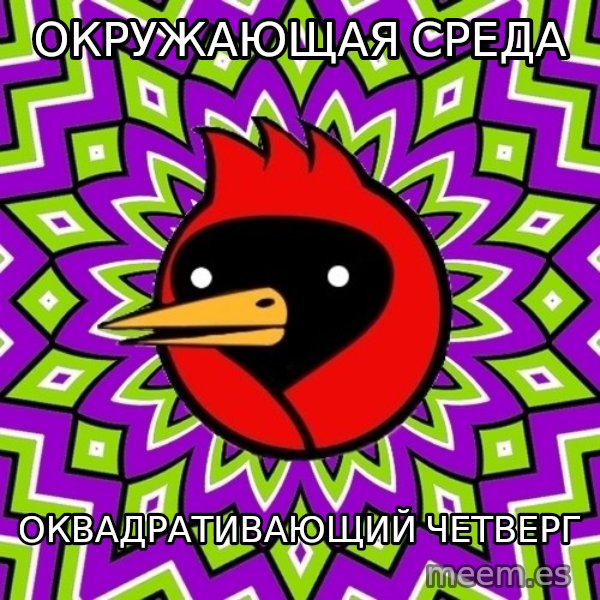 Omsk Crow meme: ОКРужающая среда / оквадративающий Четверг