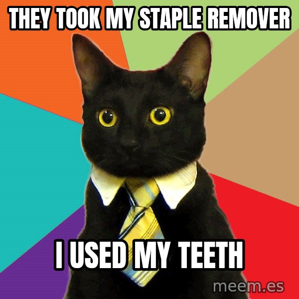 Business Cat meme: they Took my staple remover / i used my teeth