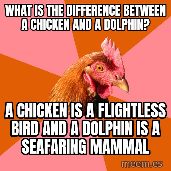 Anti Joke Chicken meme: what is the difference between a chicken and a dolphin? / a chicken is a flightless bird and a dolphin is a seafaring mammal