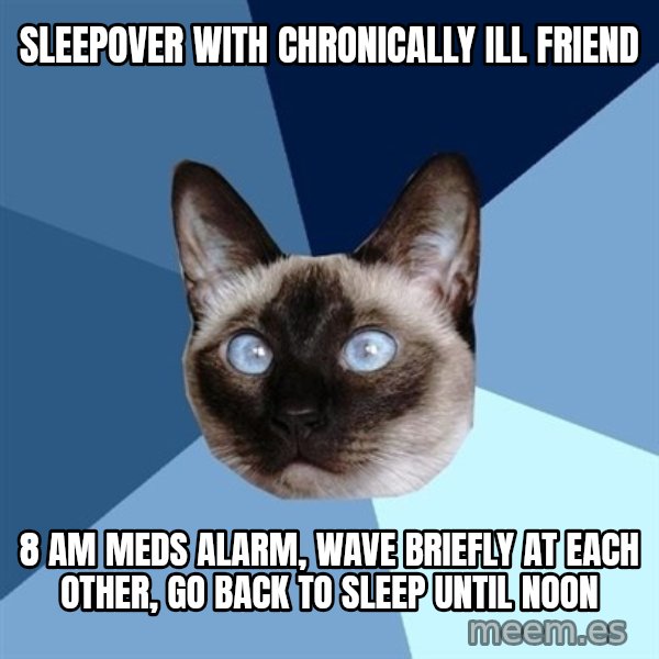 Chronic Illness Cat meme: sleepover with chronically ill friend / 8 am meds alarm, wave briefly at each other, go back to sleep until noon