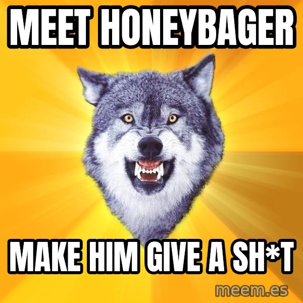 Courage Wolf meme: meet honeybager / make him give a sh*t