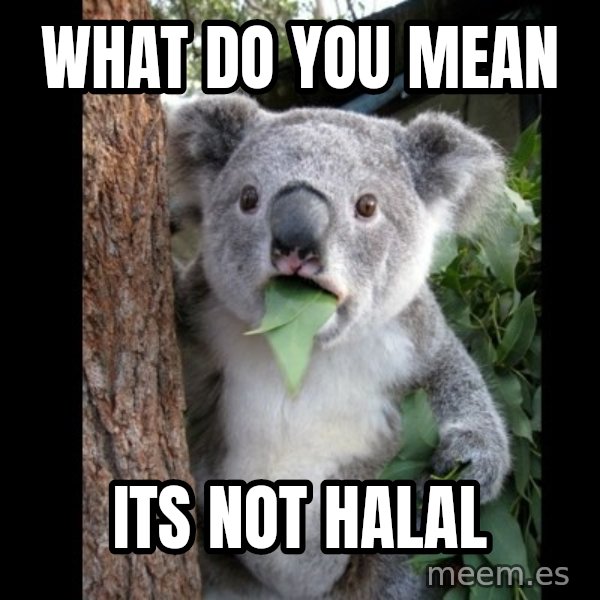 Koala can't believe it meme: What do you mean / its not hALAL