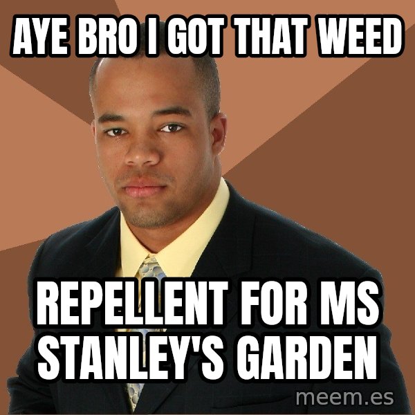 Successful Black Man meme: aye bro i got that weed / repellent for ms stanley's garden