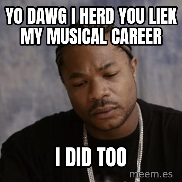 Yo Dawg meme: Yo Dawg i herd you Liek my Musical career / I did too