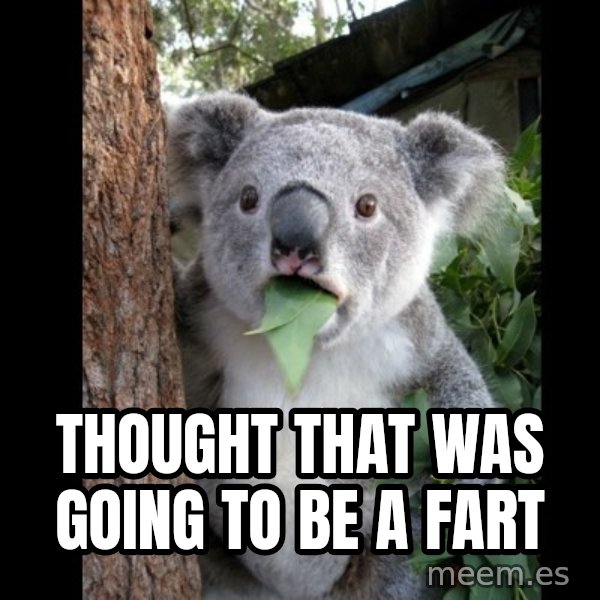 Koala can't believe it meme: thought that was going to be a fart