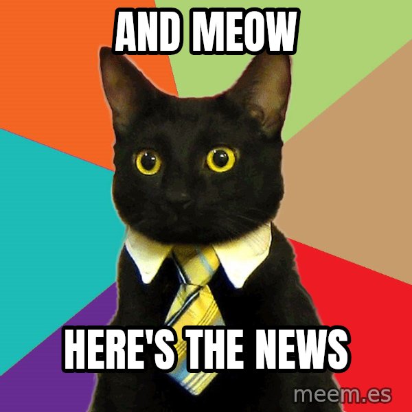 Business Cat meme: And MEOW / HERE'S THE NEWS
