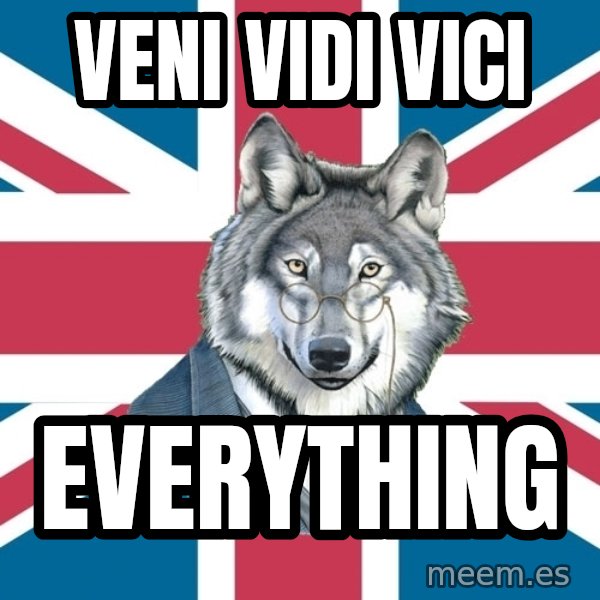 Sir Courage Wolf Esquire meme: veni vidi vici / everything