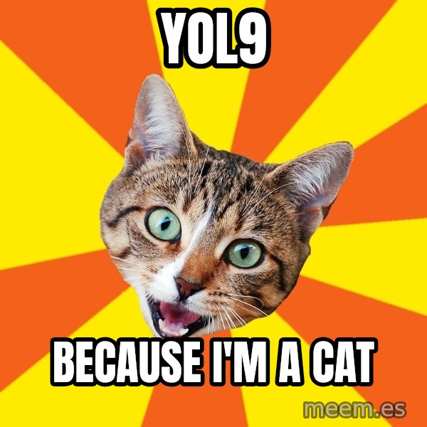 Bad Advice Cat meme: yol9 / because i'm a cat
