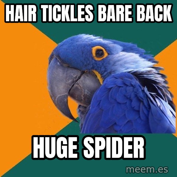 Paranoid Parrot meme: Hair tickles bare back / huge spider