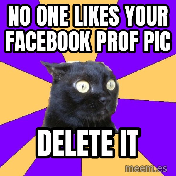 Anxiety Cat meme: no one likes your facebook prof pic / delete it