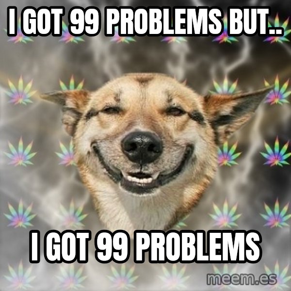 Stoner Dog meme: I got 99 problems but.. / i got 99 problems