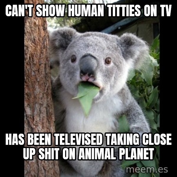 Koala can't believe it meme: can't show human titties on tv / Has been televised taking close up shit on animal planet