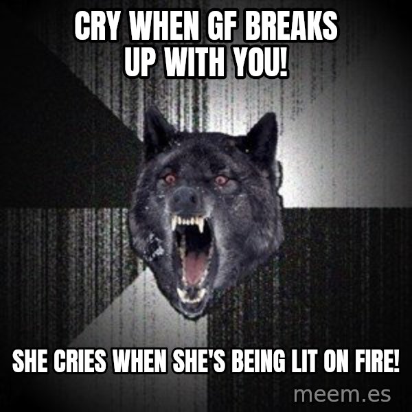 Insanity Wolf meme: CRY WHEN GF BREAKS UP WITH YOU! / SHE CRIES WHEN SHE'S BEING LIT ON FIRE!