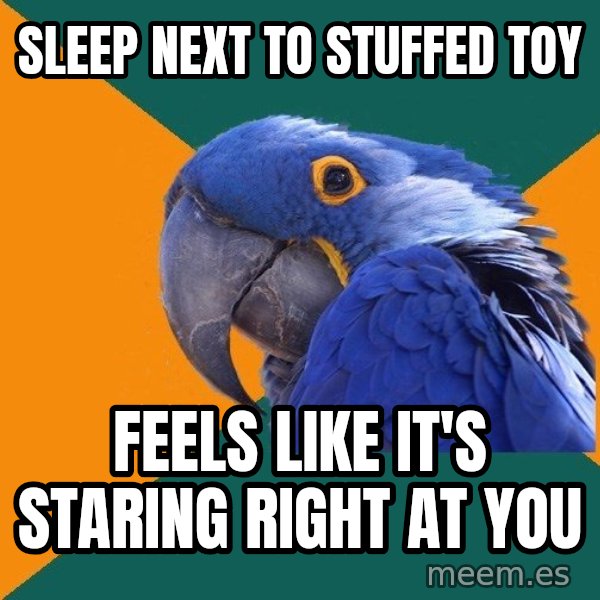 Paranoid Parrot meme: sleep next to stuffed toy / feels like it's staring right at you