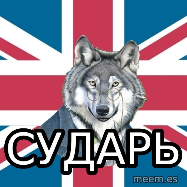 Sir Courage Wolf Esquire meme: сударь