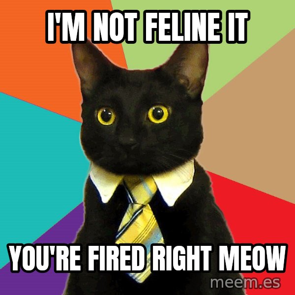 Business Cat meme: I'm Not feline it / you're fired right meow