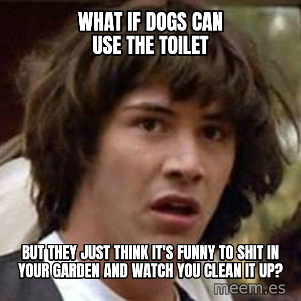 Conspiracy Keanu meme: what if dogs can use the toilet / but they just think it's funny to shit in your garden and watch you clean it up?