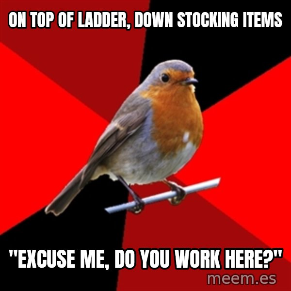 Retail Robin meme: On top of ladder, down stocking items / "excuse me, do you work here?"