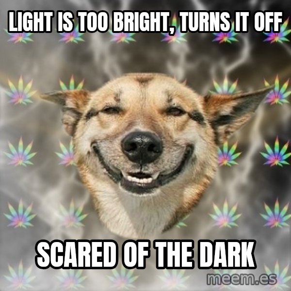 Stoner Dog meme: light is too bright, turns it off / scared of the dark