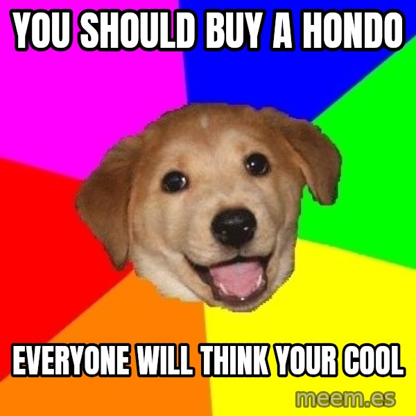Advice Dog meme: yOU SHOULD BUY A HONDO / EVERYONE WILL THINK YOUR COOL