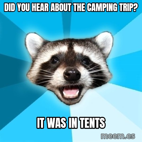Lame Pun Coon meme: did you hear about the camping trip? / it was in tents