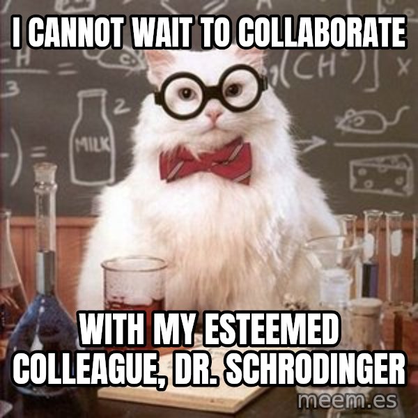 Chemistry Cat meme: I cannot wait to collaborate / with my esteemed colleague, Dr. Schrodinger