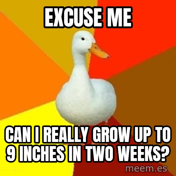 Technologically Impaired Duck meme: Excuse me / Can I really grow up to 9 inches in two weeks?