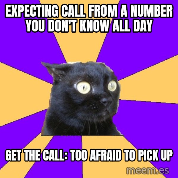 Anxiety Cat meme: expecting call from a number you don't know all day / get the call: too afraid to pick up