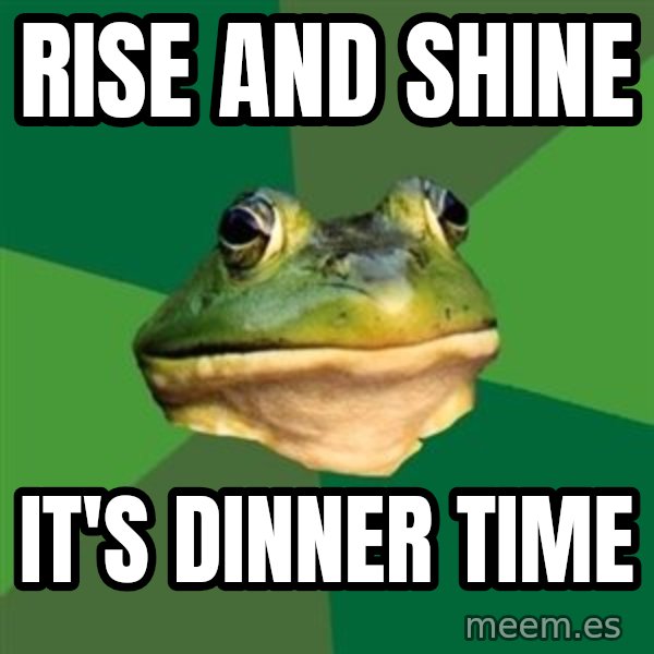 Foul Bachelor Frog meme: rise and shine / it's dinner time