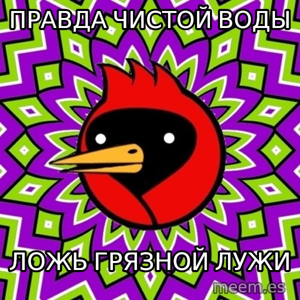 Omsk Crow meme: ПРАВДА ЧИСТОЙ ВОДЫ / ЛОЖЬ ГРЯЗНОЙ ЛУЖИ