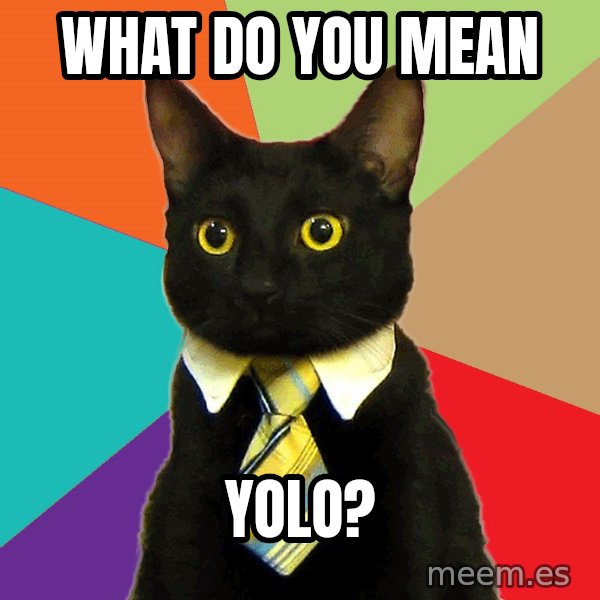 Business Cat meme: What do you mean / Yolo?