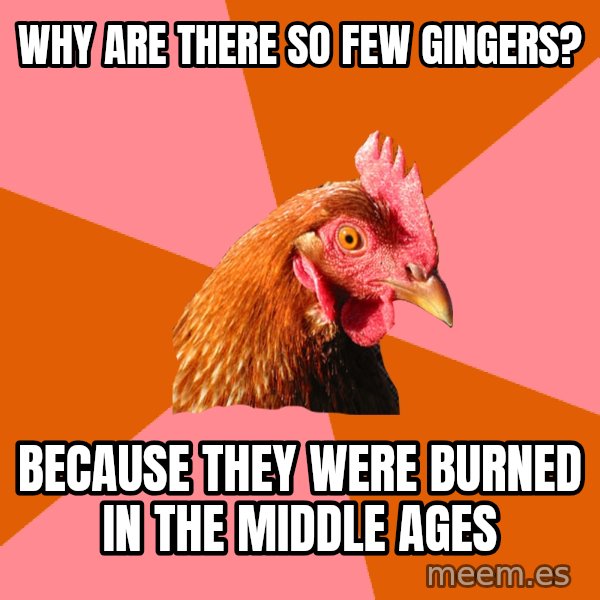 Anti Joke Chicken meme: Why are there so few gingers? / Because they were burned in the middle ages