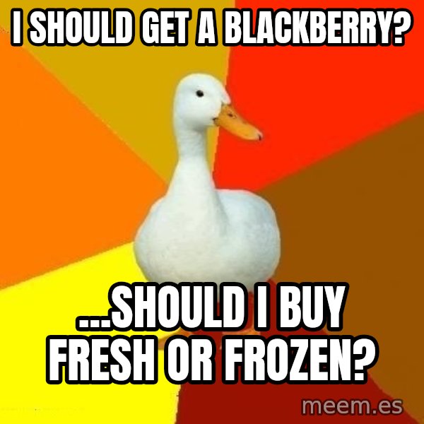 Technologically Impaired Duck meme: i should get a blackberry? / ...should i buy fresh or frozen?