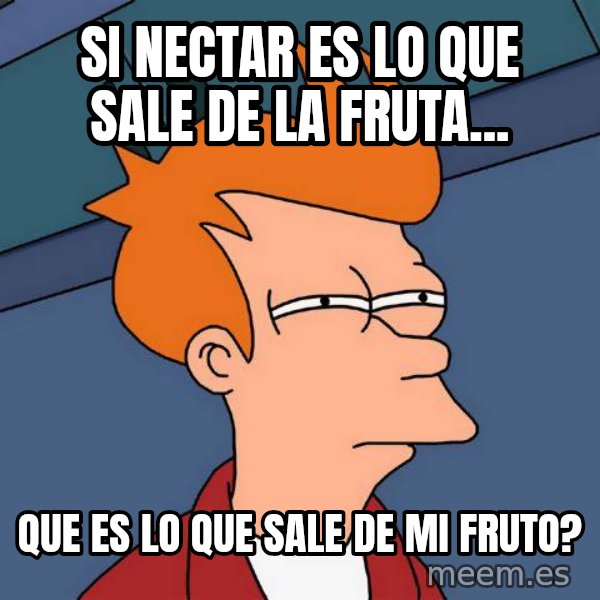 Futurama Fry meme: si nectar es lo que sale de la fruta... / que es lo que sale de mi fruto?