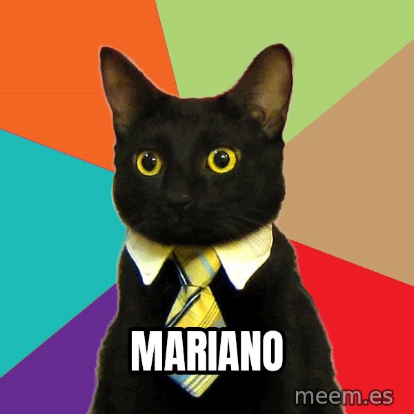 Business Cat meme: mariano