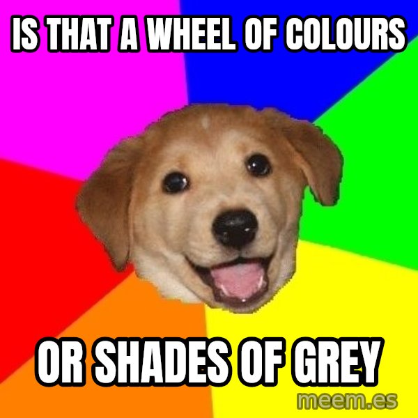 Advice Dog meme: is that a wheel of colours / or shades of grey