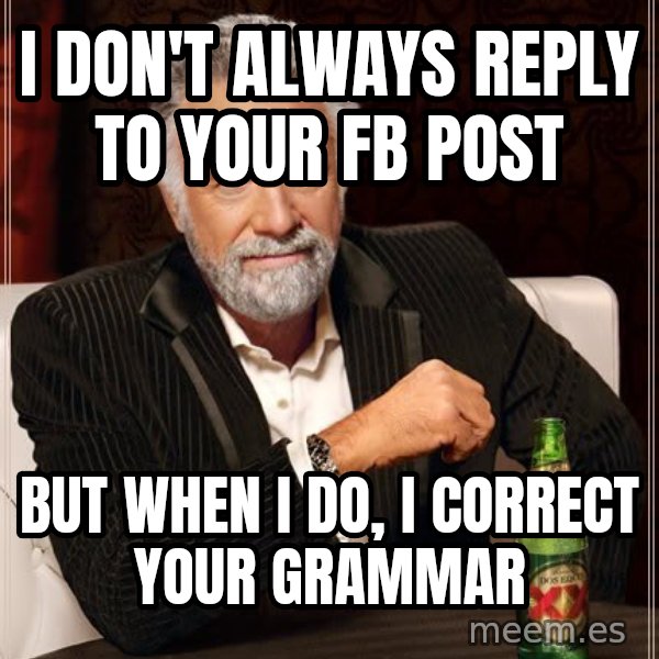 The Most Interesting Man In The World meme: i don't always reply to your fb post / but when i do, i correct your grammar