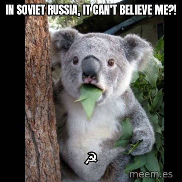 Koala can't believe it meme: in soviet russia, it can't believe me?! / ☭