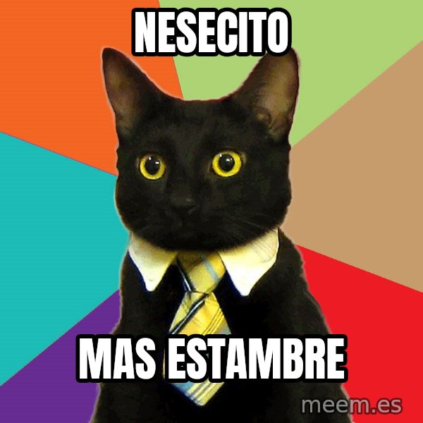 Business Cat meme: nesecito / mas estambre